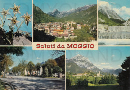 CARTOLINA  C14 MOGGIO,LECCO,LOMBARDIA-SALUTI DA MOGGIO-PANORAMA-CRETA GRAUDARIA-PIAZZA GLERIE-MAGGIO ALTO-VIAGGIATA 1971 - Lecco