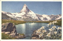 11761766 Zermatt VS Matterhorn Edelweiss  - Sonstige & Ohne Zuordnung