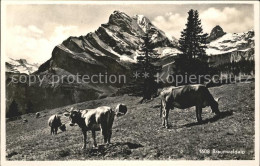 11758946 Braunwald GL Alpf Kuehe Braunwald - Otros & Sin Clasificación