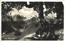 11758837 Braunwald GL  Braunwald - Other & Unclassified