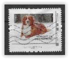 France Timbre Personnalisé Oblitéré Chien - Used Stamps