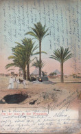 1906. PORT-SAID 10 C On POST CARD On The Way To The Pyramids Cancelled ALEXANDRIE EGYPT 19 JANV 06 To Fran... - JF432490 - Covers & Documents