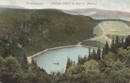 7820 FELDBERG, Feldsee, Blick über Den See, 1906 - Feldberg