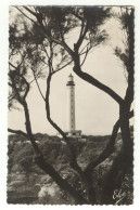 64/ CPSM - Biarritz - Le Phare Dans Les Tamaris - Biarritz