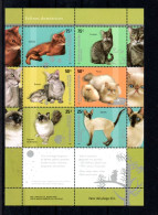 ARGENTINE - ARGENTINA - 2005 - B/F - M/S - CHATS - CATS - KATZEN - - Blokken & Velletjes