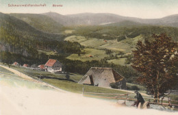 7820 FELDBERG - BÄRENTAL, Blick über Das Dorf, 1905, Trenkler - Feldberg