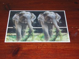 75704-       OLIFANTEN / ELEPHANTS, DIEREN / ANIMALS / TIERE / ANIMAUX / ANIMALES - Elephants