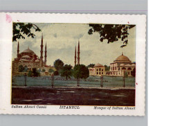 50461509 - Istanbul - Turquie