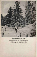 Ebersbach In Sachsen - Ebersbach (Löbau/Zittau)