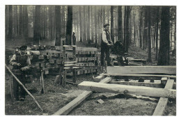 Sint-Genesius-Rode   Les Bûcherons  Forêt De Soignes  METIER - St-Genesius-Rode