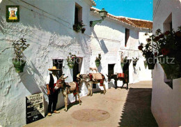 72705314 Mijas Parada De Burros Taxis Esel Lasttiere Mijas - Andere & Zonder Classificatie