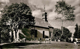 72705276 St Maergen Ohmen Kapelle Zu Hl Judas Thaddaeus Hoehenluftkurort Schwarz - Autres & Non Classés