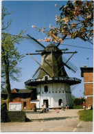 20052309 - Windmuehle In Daenemark - Danemark