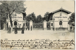 Köln Eigang Z. Zoolog. Graten Circulée En 1902 - Köln