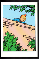 TINTIN. L'île Noire. - Cómics