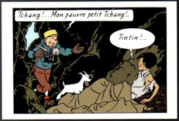 TINTIN. Exposition Tintin Au Tibet. - Bandes Dessinées