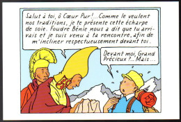 TINTIN. Exposition Tintin Au Tibet. - Stripverhalen