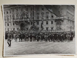 Italy Military Italia Foto Militari Da Identificare. Trieste ?  175x125 Mm. - Guerra, Militares