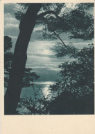 AD447 Cartolina Da Identificare - Paesaggio Lacustre O Marino - Panorama / Viaggiata 1954 - Autres & Non Classés