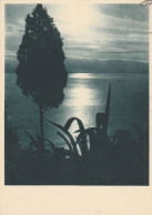 AD448 Cartolina Da Identificare - Paesaggio Lacustre O Marino - Panorama / Viaggiata 1955 - Autres & Non Classés