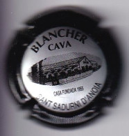 PLACA DE CAVA BLANCHER (CAPSULE) Viader:4213 - Schuimwijn