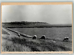 10071409 - Vollerwiek - Sonstige & Ohne Zuordnung