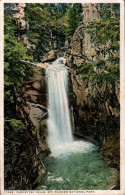 H2420 - Wasserfall Christine Falls Rainer National Park - Other & Unclassified