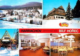 72698736 Harrachov Harrachsdorf Zotavovna ROH Bily Horec Krkonose Riesengebirge  - Tchéquie