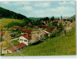 51764509 - Sulzburg , Baden - Sonstige & Ohne Zuordnung