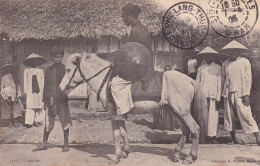 Cavalier Au Tonkin Moreau Vietnam Indochine Carte Voyagée 1904 De PHU-LANG-THUONG Pour Sidi Bel Abbes Algérie - Viêt-Nam