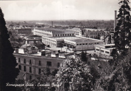 Romagnano Sesia Costiera Burgo - Sonstige & Ohne Zuordnung