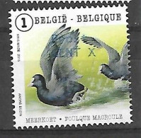 OCB Nr 4501 Fauna Meerkoet Macroule - Used Stamps