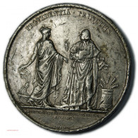 LOUIS XVIII Médaille étain, Aide Contre La Disette 1817,  DOMARD F. Lartdesgents - Royaux / De Noblesse