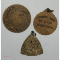 Médaille Grands Prix De Paris Pédestres, école Escrime 1905 + Martyr De La Paix - Adel