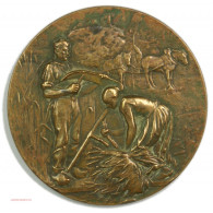 Médaille Concours Agricole Uzès 1899, Par RIVET, Lartdesgents.fr - Adel