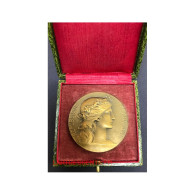 Médaille  Prix De Tir Offert Par Le Ministre De La Guerre D.Dupuis, Lartdesgents.fr - Adel