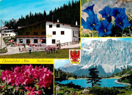 72696953 Ehrwald Tirol Alm Seebensee Enzian Ehrwald - Andere & Zonder Classificatie