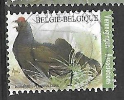 OCB Nr 4305 Buzin Fauna Korhoen Tertas Lyre Verenigingen Associations Centrale Stempel - 1985-.. Oiseaux (Buzin)