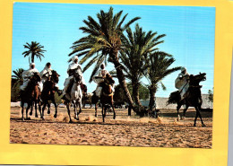 Fantasia TUNISIE  (Cavaliers Chevaux )    ( 21675 ) - Tunisie