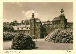 72695250 Schwetzingen Schloss Schwetzingen - Schwetzingen