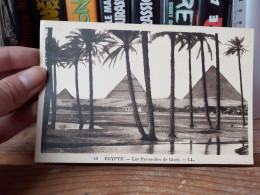 Carte Postale Egypte - Guiza