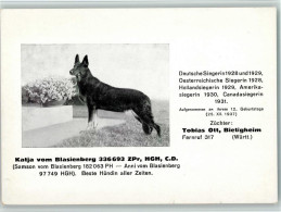 13406009 - Schaeferhunde Katja Vom Blsienberg - Beste - Dogs