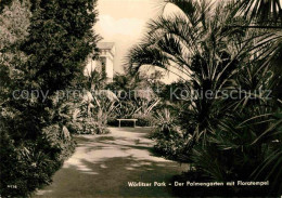 72693987 Woerlitz Woerlitzer Park Palmengarten Mit Floratempel Woerlitz - Andere & Zonder Classificatie