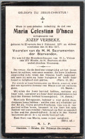 Bidprentje Elversele - D'Haen Maria Celestina (1871-1917) - Images Religieuses