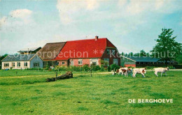 72693951 Epe Gelderland Kampeerboerderij De Berghoeve Urlaub Auf Dem Bauernhof K - Autres & Non Classés