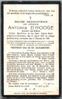 Bidprentje Elversele - D'Hooge Antonia (1836-1928) - Images Religieuses