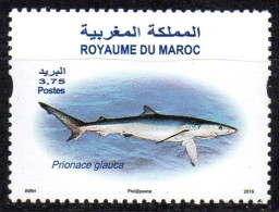 MOROCCO MAROC 1992 - 1v - MNH - Blue Shark - Requin Bleu - Prionace Glauca - Marine Life - Sharks - Hai - Tiburón Squalo - Altri & Non Classificati