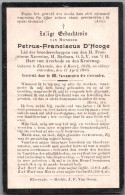 Bidprentje Elversele - D'Hooge Petrus Franciscus (1828-1905) - Images Religieuses