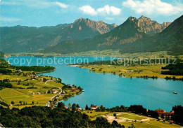 72693524 Wolfgangsee Ried Landzunge Zinkenbach Luftaufnahme Wolfgangsee - Sonstige & Ohne Zuordnung