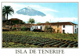 72693408 Tenerife Teide Bauernhof Islas Canarias Spanien - Sonstige & Ohne Zuordnung